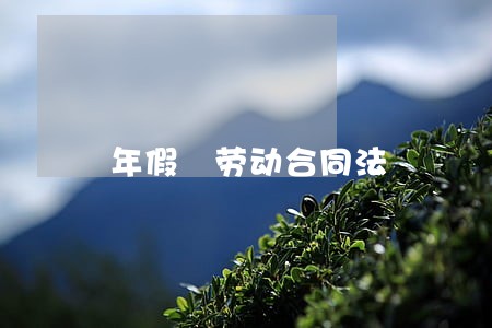 年假 劳动合同法 年假 劳动合同法